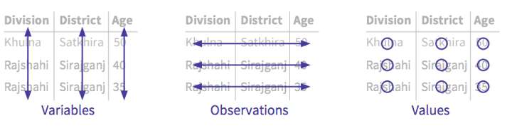 Tidy dataset