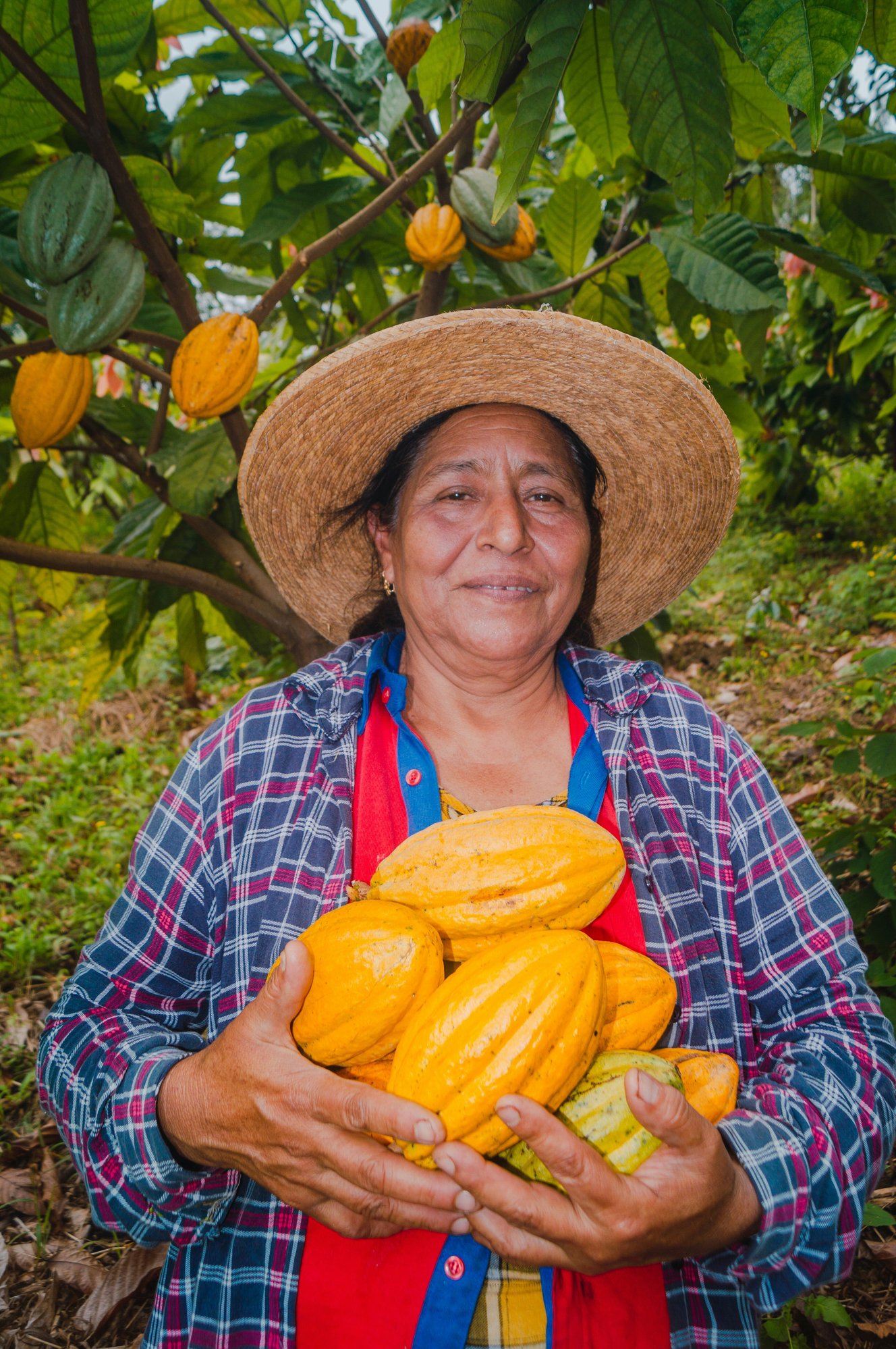 camilo-contreras-v2NIhJQaNTI-unsplash camilo-contreras-v2NIhJQaNTI-unsplash